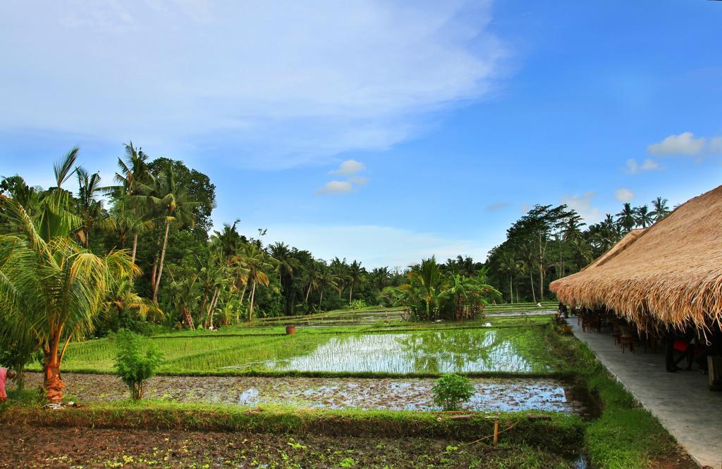 Sapulidi Resort Spa & Gallery Bali Ubud Exterior foto